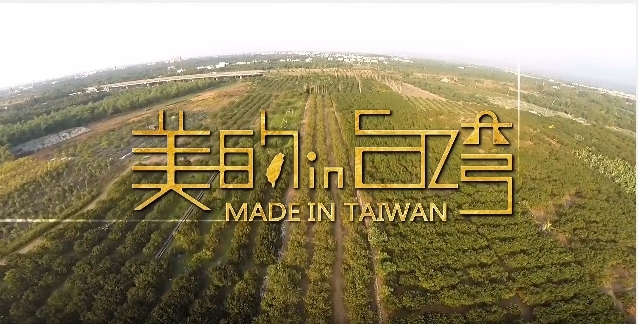 中天綜合台