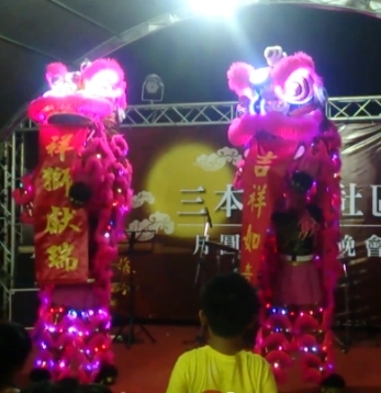 LED電光獅晚會演出